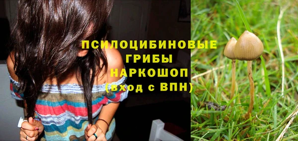 бошки Тихвин