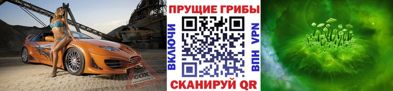 Галлюциногенные грибы MAGIC MUSHROOMS  ОМГ ОМГ зеркало  Бор 