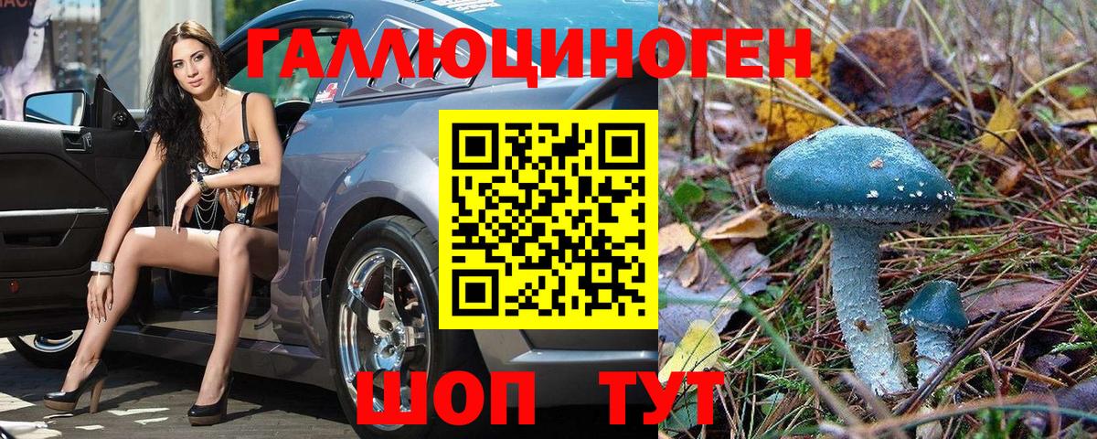 Псилоцибиновые грибы ЛСД Бор