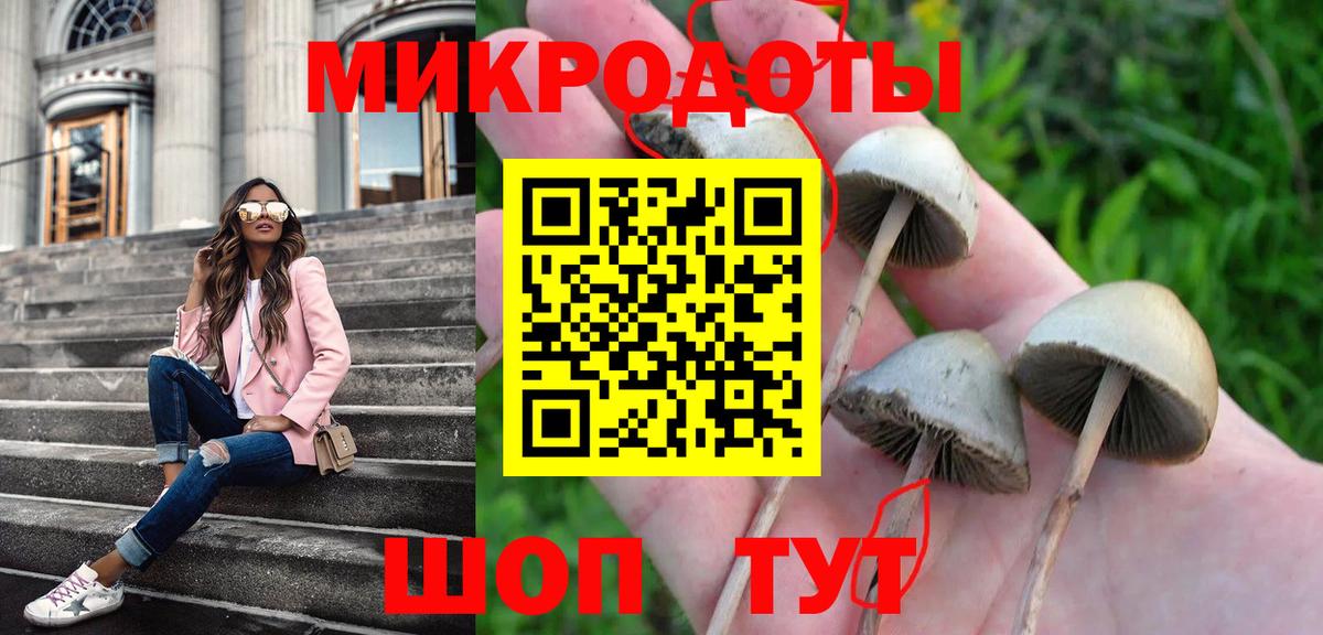 Галлюциногенные грибы MAGIC MUSHROOMS Бор