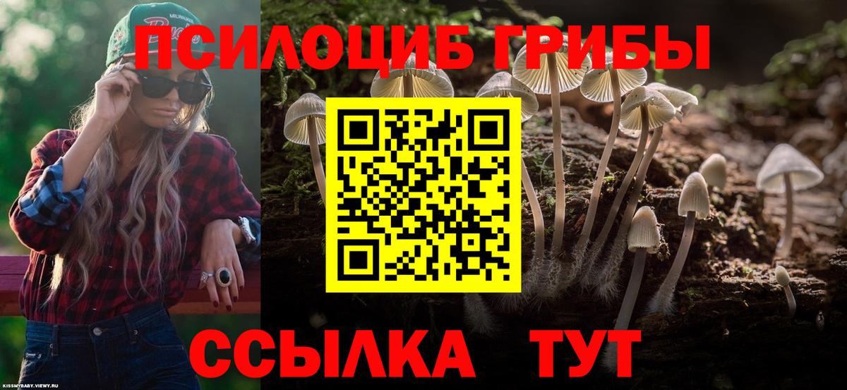 Галлюциногенные грибы ЛСД  Бор  Псилоцибиновые грибы мухоморы 